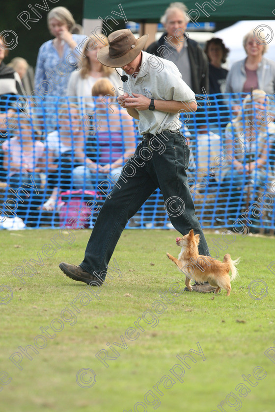 AWC 7055 
 Keywords: 2010, Chobham, Millbrook Animal Centre, RSPCA, Richard Curtis, arena demonstration, september