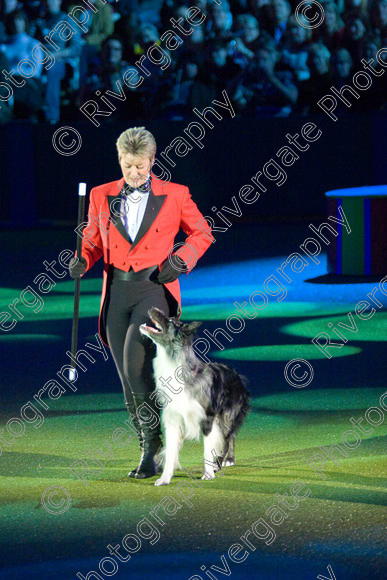 IMG 8178 
 Keywords: 2008, Arena, Display, NEC, birmingham, canine freestyle, crufts, dancing, dogs, heelwork to music, htm, march, performance