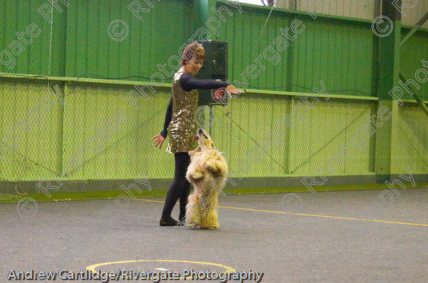 IMG 0126 
 Heelwork to Music and Canine Freestyle events and competition in 2005 held at the Connexion Leisure Centre, Ryton-on-Dunsmore, Coventry. 
 Keywords: 2005, June, UK, competition, coventry, dog, dog dancing, dog sport, heelwork to music, k9freestyle, ryton on dunsmore