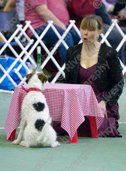 IMG 6797 
 Keywords: 2008, K9 Freestyle, Rugby DTC, canine freestyle, competition, connexions leisure centre, coventry, dancing dogs, february, heelwork to music, k9freestylegb, ryton on dunsmore