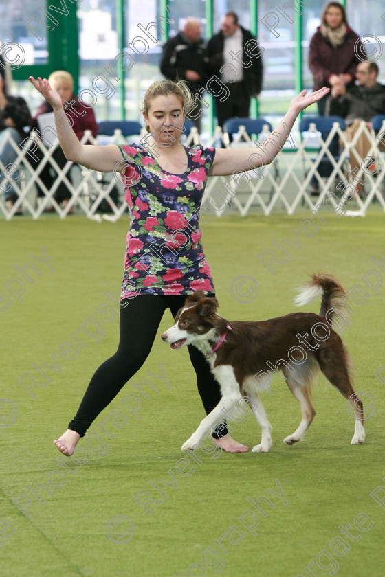 AWC 0277 
 Keywords: Nicci Hindson, heelwork to music competition, rugby dog club