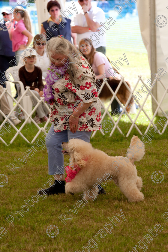 AWC 7962 
 Keywords: 2009, England, June, MDS Ltd, Paws in the Park, UK, broadlands, competition, hampshire, heelwork to music, paws and music, paws n music, romsey