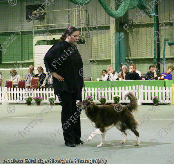 IMG 0923 
 Heelwork to Music and Canine Freestyle events and competition in 2005 held at the Connexion Leisure Centre, Ryton-on-Dunsmore, Coventry. 
 Keywords: 2005, UK, competition, coventry, dog, dog dancing, dog sport, february, heelwork to music, k9freestyle, ryton on dunsmore