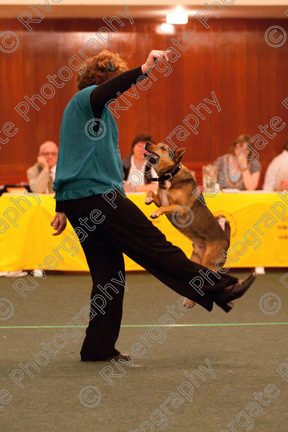 AWC 2315 
 Keywords: 2010, Dee Speight, april, competition, heelwork to music, lynda smith, novice heelwork to music part 2, west glen