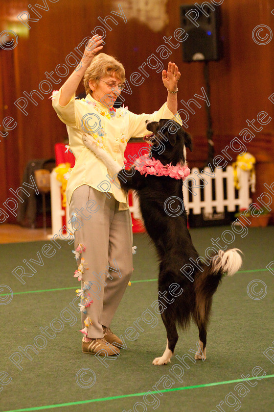 AWC 2815 
 Keywords: 2010, Dawn Smith, Intermediate Freestyle Part 2, april, heelwork to music, westglen