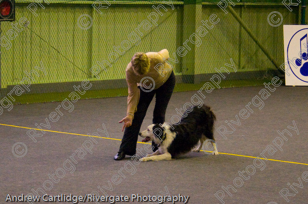 IMG 0123 
 Heelwork to Music and Canine Freestyle events and competition in 2005 held at the Connexion Leisure Centre, Ryton-on-Dunsmore, Coventry. 
 Keywords: 2005, June, UK, competition, coventry, dog, dog dancing, dog sport, gina pink, heelwork to music, k9freestyle, ryton on dunsmore