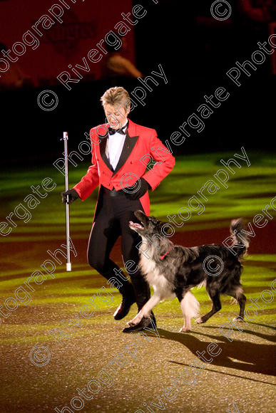 IMG 8226 
 Keywords: 2008, Arena, Display, NEC, birmingham, canine freestyle, crufts, dancing, dogs, heelwork to music, htm, march, performance