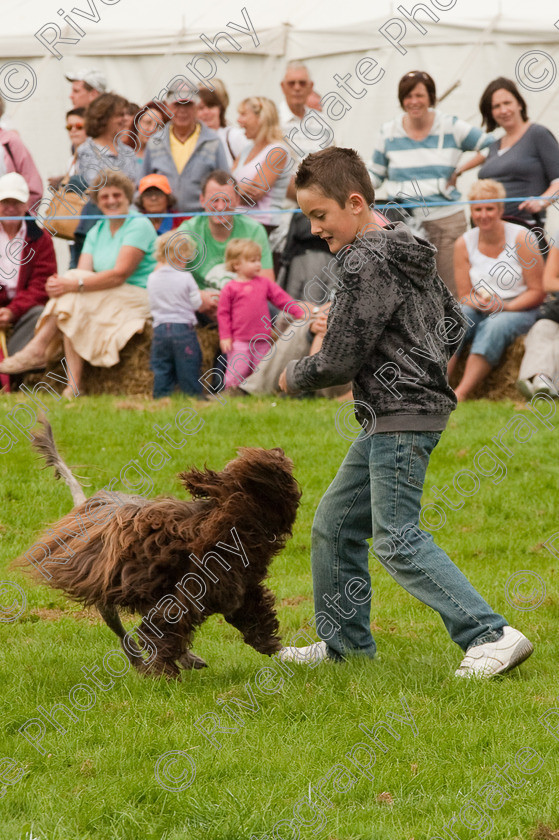 AWC 1433 
 Wanborough Country Show, August 2009, Richard Curtis' K9freestyle Dancing Dog Arena Display 
 Keywords: 2009, arena demonstration, arena display, august, canine freestyle, dog dancing, dog display, England, heelwork to music, k9freestyle, Lynch Field, Lynch Field, Wanborough, Wiltshire, England, UK, richard curtis, UK, wanborough country show, Wanborough, Wiltshire