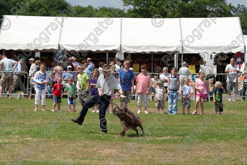 AWC 5091 
 Keywords: 2010, Ardingly, Demonstration, Richard Curtis, Smallholders Show, july, k9freestyle arena display