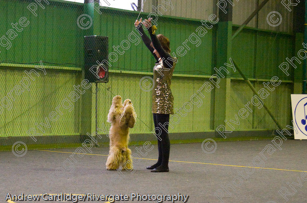 IMG 0127 
 Heelwork to Music and Canine Freestyle events and competition in 2005 held at the Connexion Leisure Centre, Ryton-on-Dunsmore, Coventry. 
 Keywords: 2005, June, UK, competition, coventry, dog, dog dancing, dog sport, heelwork to music, k9freestyle, ryton on dunsmore