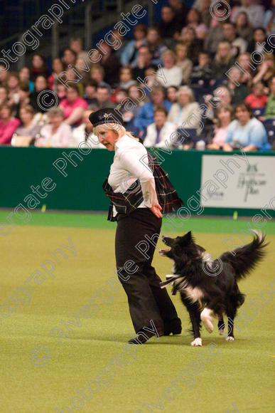 IMG 7347 
 Keywords: 2008, Arena, BC, Display, Kinaway Doctor Watson, NEC, birmingham, border collie, canine freestyle, carole dodson, crufts, dancing, dogs, heelwork to music, htm, march, performance