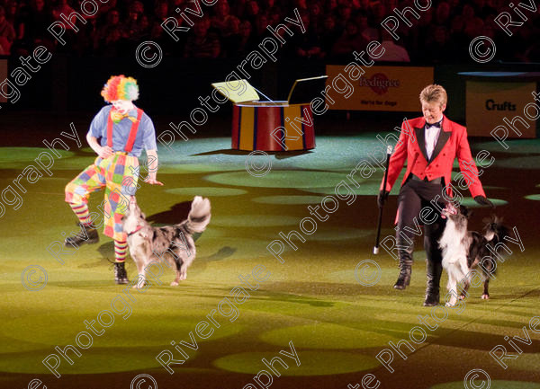 IMG 8242 
 Keywords: 2008, Arena, Display, NEC, birmingham, canine freestyle, crufts, dancing, dogs, heelwork to music, htm, march, performance