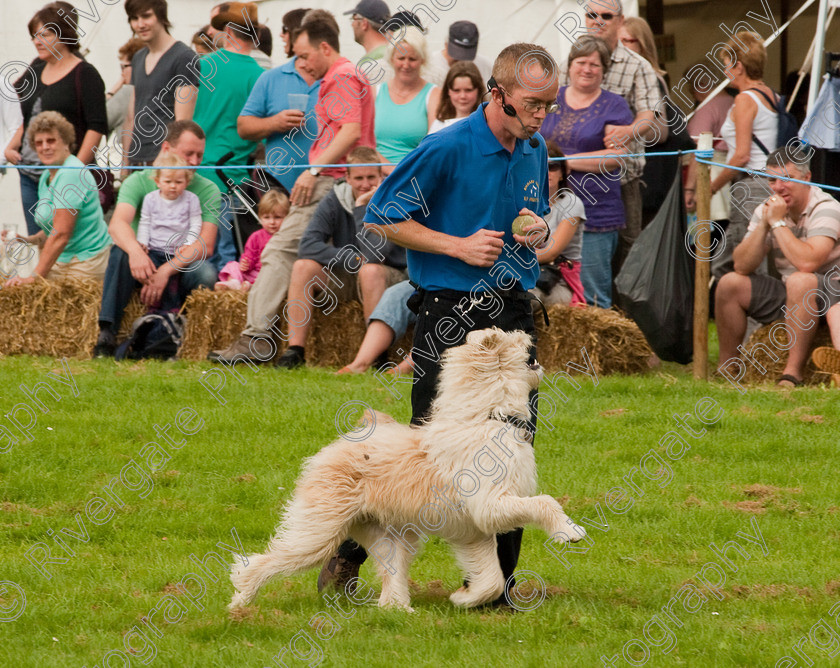 AWC 1372 
 Wanborough Country Show, August 2009, Richard Curtis' K9freestyle Dancing Dog Arena Display 
 Keywords: 2009, arena demonstration, arena display, august, canine freestyle, dog dancing, dog display, England, heelwork to music, k9freestyle, Lynch Field, Lynch Field, Wanborough, Wiltshire, England, UK, richard curtis, UK, wanborough country show, Wanborough, Wiltshire