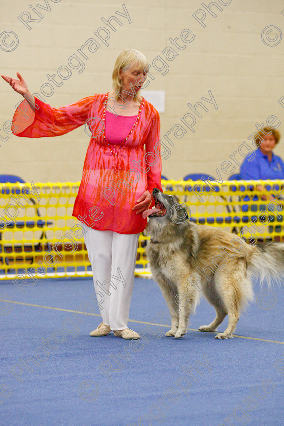 AWC 5935 
 Keywords: 2009, Barnard Castle, Corsini Quinzano, County Durham, DL12 8DS, Intermediate Heelwork to Music, May, Northern Mutts N Music, Royal Canin, Strathmore Road, Teesdale Sports Centre, Tervueren, canine freestyle, competition, heelwork to music, margaret booth