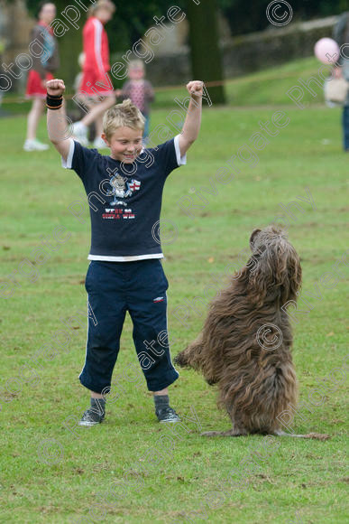 IMG 1146 
 Earls Barton Carnival, Richard Curtis arena display performance and demonstration 
 Keywords: child, kid, boy, working dog dog, disco, portuguese water dog, heelwork, working, display, green grass, demonstration, crowd