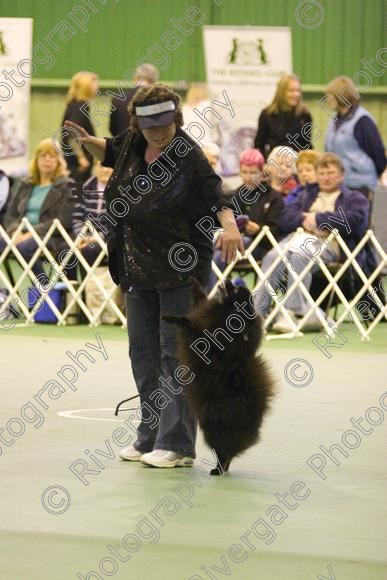 IMG 5835 
 Keywords: 2008, K9 Freestyle, Rugby DTC, canine freestyle, competition, connexions leisure centre, coventry, dancing dogs, february, heelwork to music, , ryton on dunsmore