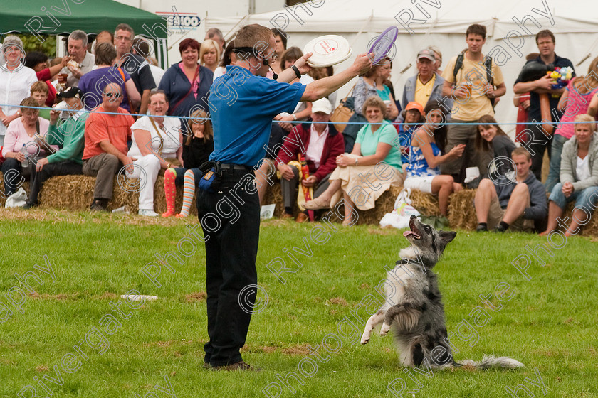 AWC 1513 
 Wanborough Country Show, August 2009, Richard Curtis' K9freestyle Dancing Dog Arena Display 
 Keywords: 2009, arena demonstration, arena display, august, canine freestyle, dog dancing, dog display, England, heelwork to music, k9freestyle, Lynch Field, Lynch Field, Wanborough, Wiltshire, England, UK, richard curtis, UK, wanborough country show, Wanborough, Wiltshire