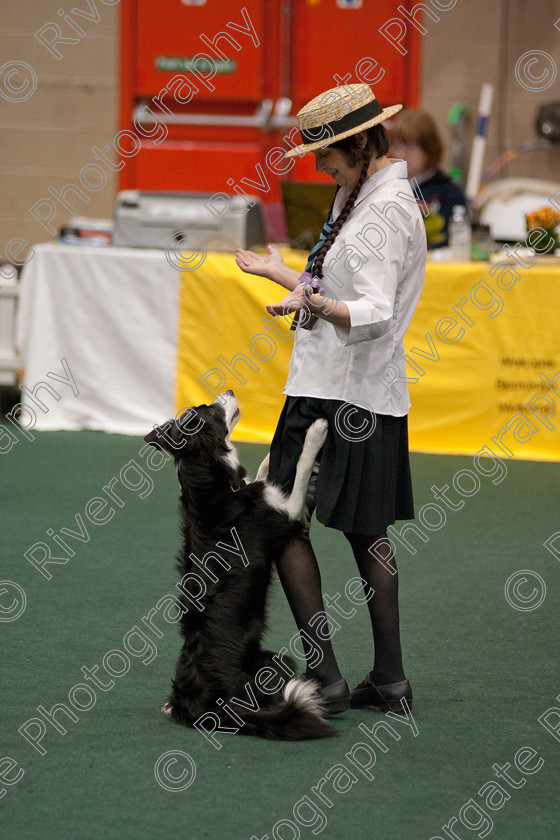 AWC 3714 
 Keywords: 2009, England, UK, Worcester, Worcestershire, april, competition, heelwork to music, sue betteridge, westglen