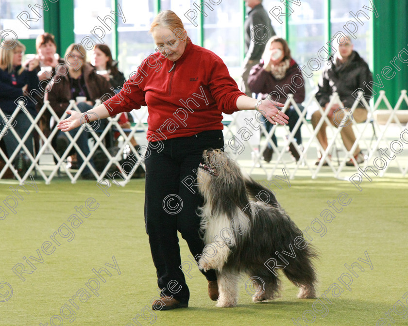 AWC 0525 
 Keywords: heelwork to music competition, rugby dog club