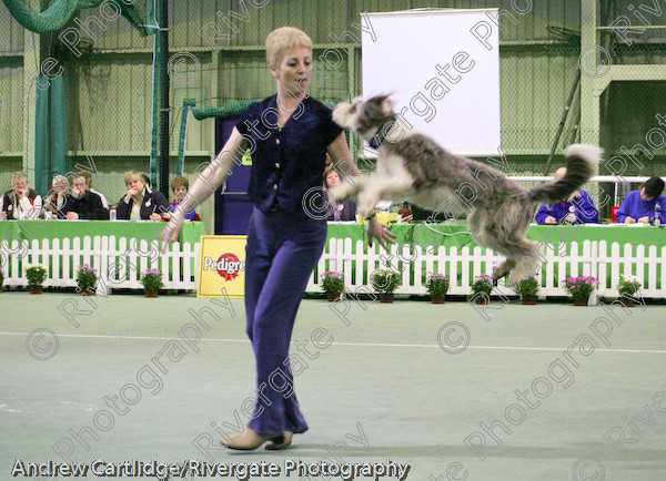 IMG 0961 
 Heelwork to Music and Canine Freestyle events and competition in 2005 held at the Connexion Leisure Centre, Ryton-on-Dunsmore, Coventry. 
 Keywords: 2005, UK, cath hardman, competition, coventry, dog, dog dancing, dog sport, february, heelwork to music, k9freestyle, ryton on dunsmore