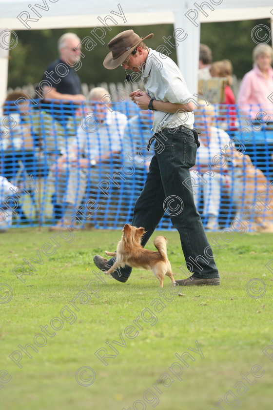 AWC 7066 
 Keywords: 2010, Chobham, Millbrook Animal Centre, RSPCA, Richard Curtis, arena demonstration, september