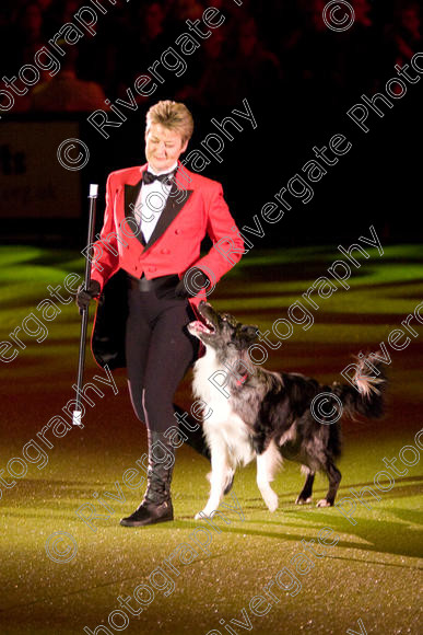 IMG 8219 
 Keywords: 2008, Arena, Display, NEC, birmingham, canine freestyle, crufts, dancing, dogs, heelwork to music, htm, march, performance