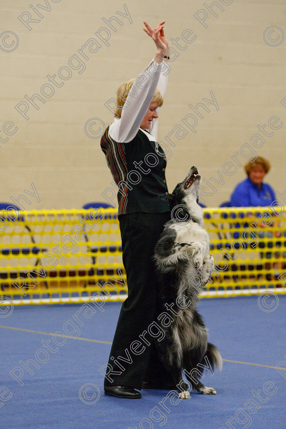 AWC 5932 
 Keywords: 2009, Barnard Castle, Chance of Freedom, County Durham, DL12 8DS, Intermediate Heelwork to Music, May, Northern Mutts N Music, Royal Canin, Strathmore Road, Sue Leyland, Teesdale Sports Centre, border collie, canine freestyle, competition, heelwork to music