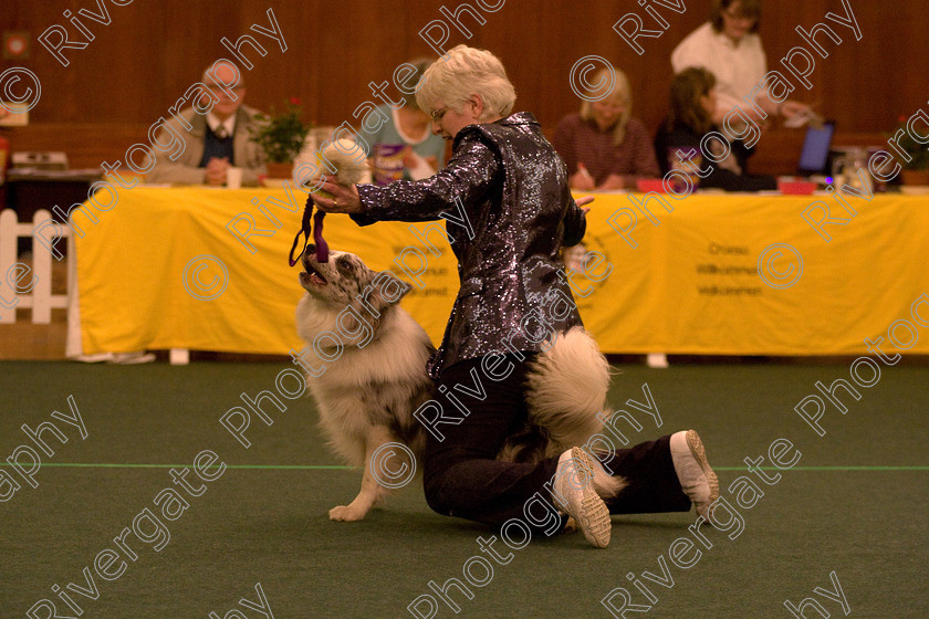 AWC 1735 
 Keywords: 2010, april, competition, frances cobb, heelwork to music, starters heelwork to music part 2, west glen