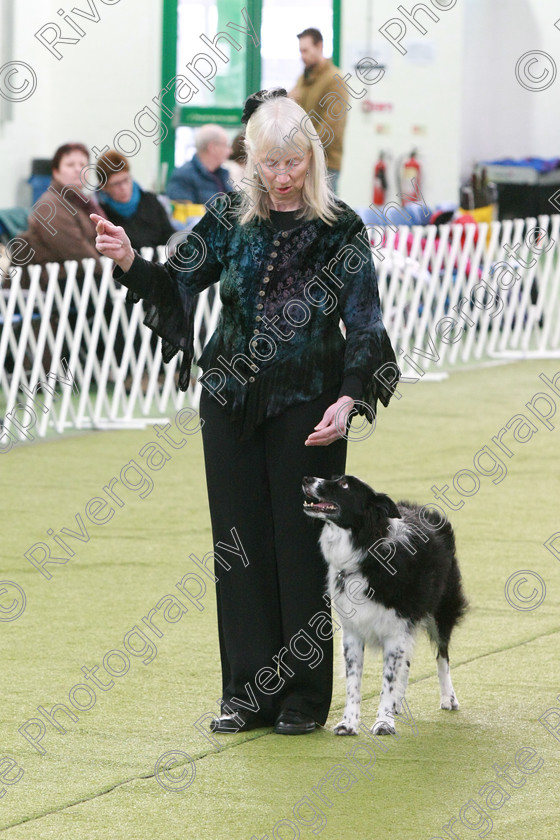 AWC 0540 
 Keywords: heelwork to music competition, rugby dog club