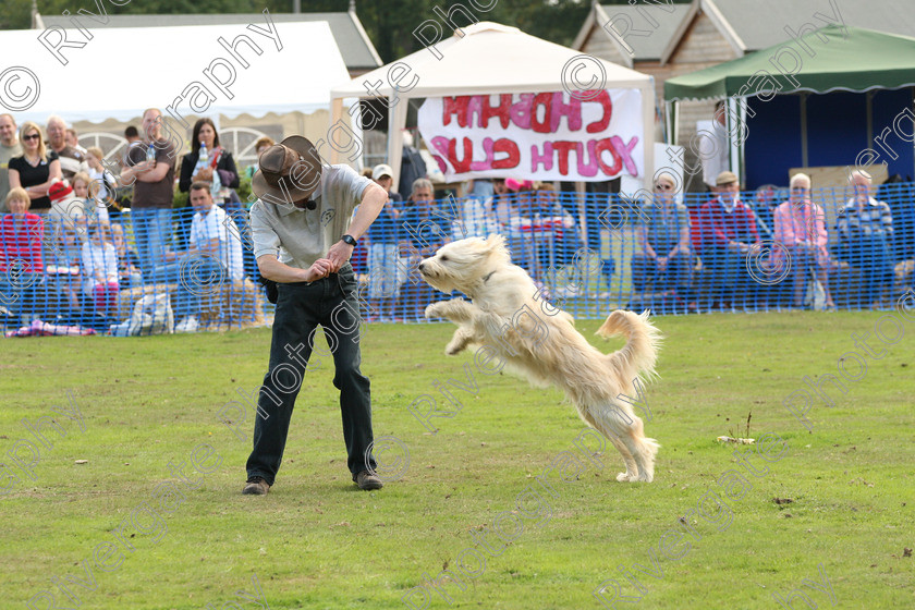 AWC 7005 
 Keywords: 2010, Chobham, Millbrook Animal Centre, RSPCA, Richard Curtis, arena demonstration, september