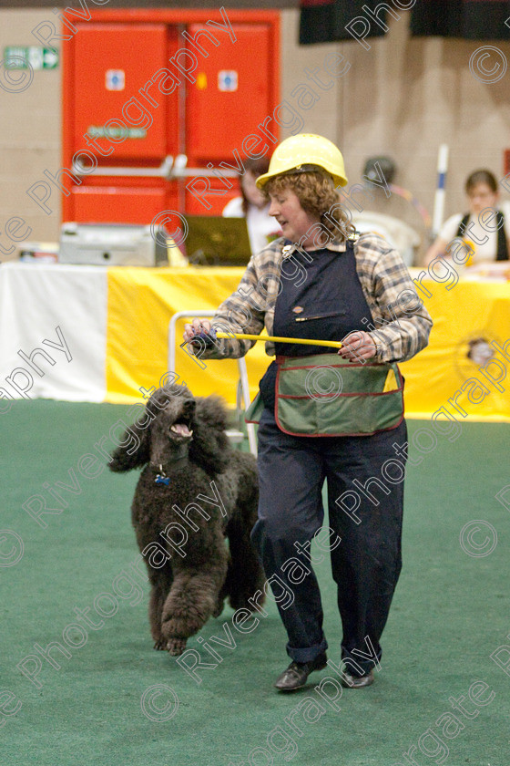 AWC 3983 
 Keywords: 2009, England, Ruth Dunning, UK, Worcester, Worcestershire, april, competition, heelwork to music, westglen