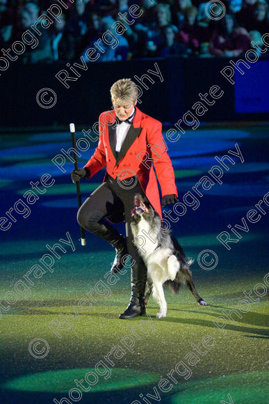 IMG 8182 
 Keywords: 2008, Arena, Display, NEC, birmingham, canine freestyle, crufts, dancing, dogs, heelwork to music, htm, march, performance