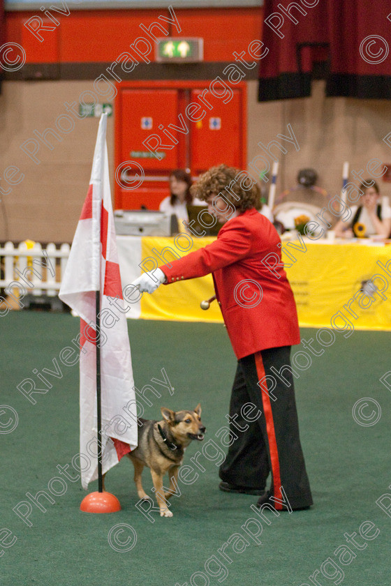 AWC 3928 
 Keywords: 2009, Dee Speight, England, UK, Worcester, Worcestershire, april, competition, heelwork to music, westglen