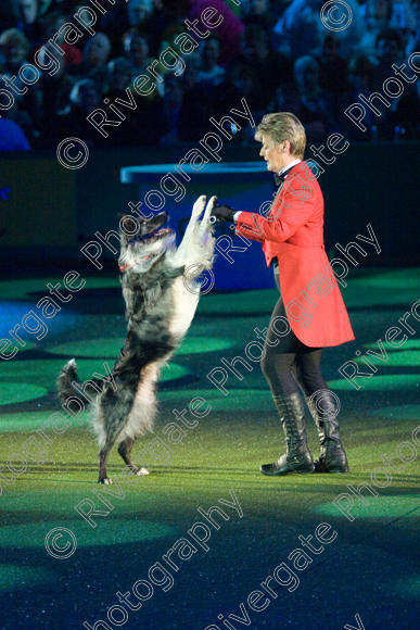 IMG 8169 
 Keywords: 2008, Arena, Display, NEC, birmingham, canine freestyle, crufts, dancing, dogs, heelwork to music, htm, march, performance