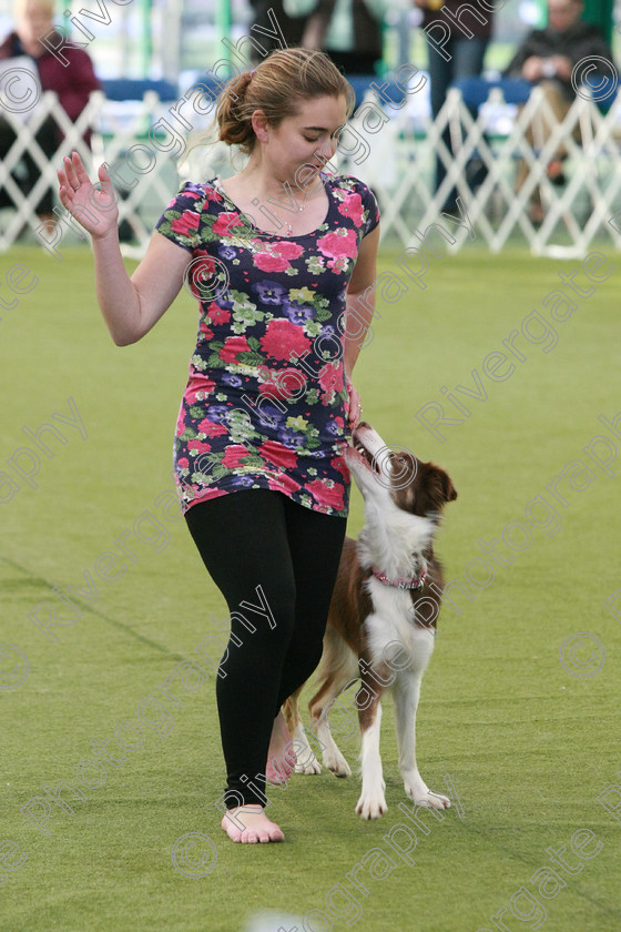 AWC 0289 
 Keywords: Nicci Hindson, heelwork to music competition, rugby dog club