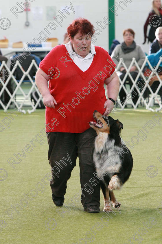 AWC 0565 
 Keywords: heelwork to music competition, rugby dog club