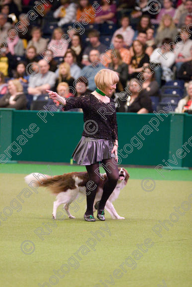 IMG 7313 
 Crufts Heelwork to Music and Canine Freestyle Competition Finals 
 Keywords: 2008, Arena, Display, NEC, WS, birmingham, canine freestyle, crufts, dancing, dogs, heelwork to music, htm, kath hardman, march, performance, reflections of ginger, working sheepdog