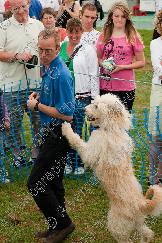 AWC 1596 
 Wanborough Country Show, August 2009, Richard Curtis' K9freestyle Dancing Dog Arena Display 
 Keywords: 2009, arena demonstration, arena display, august, canine freestyle, dog dancing, dog display, England, heelwork to music, k9freestyle, Lynch Field, Lynch Field, Wanborough, Wiltshire, England, UK, richard curtis, UK, wanborough country show, Wanborough, Wiltshire