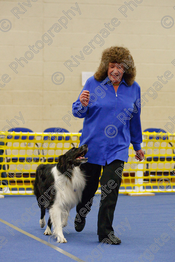 AWC 5861 
 Keywords: 2009, Barnard Castle, County Durham, DL12 8DS, Intermediate Heelwork to Music, May, Northern Mutts N Music, Paula Ackray, Royal Canin, Stillmore My Quest, Strathmore Road, Teesdale Sports Centre, border collie, canine freestyle, competition, heelwork to music