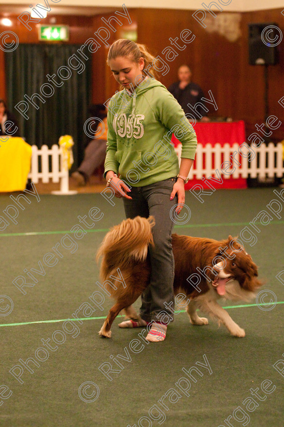 AWC 2892 
 Keywords: 2010, Nicci Hindson, Novice Freestyle Part 1, april, heelwork to music, westglen