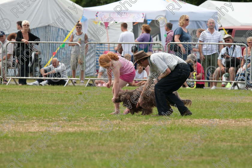 AWC 5117 
 Keywords: 2010, Ardingly, Demonstration, Richard Curtis, Smallholders Show, july, k9freestyle arena display