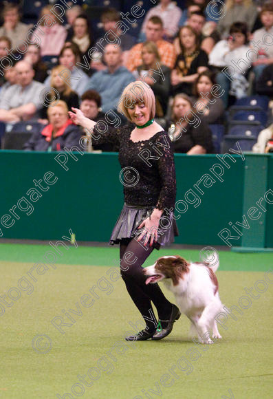 IMG 7311 
 Crufts Heelwork to Music and Canine Freestyle Competition Finals 
 Keywords: 2008, Arena, Display, NEC, WS, birmingham, canine freestyle, crufts, dancing, dogs, heelwork to music, htm, kath hardman, march, performance, reflections of ginger, working sheepdog