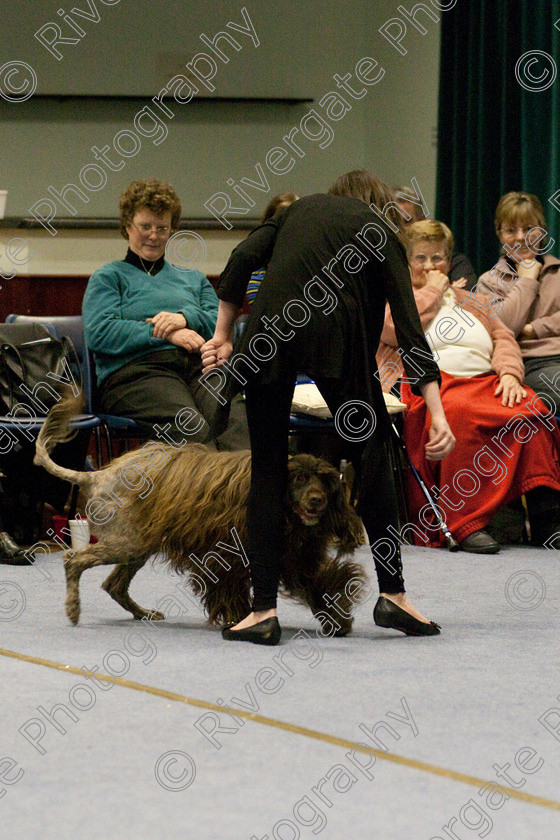 AWC 0371 
 Keywords: Fawkham Road, Longfield Green, k9freestle cabaret evening