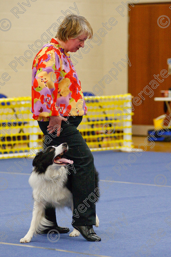 AWC 6800 
 Keywords: 2009, Ann Derizzio, Barbara Whittaker, Barnard Castle, Class 6b, County Durham, DL12 8DS, Heather Smith, Judges: Cathy Bates, May, Northern Mutts N Music, Robert De Myra, Royal Canin, Strathmore Road, Teesdale Sports Centre, border collie, canine freestyle, competition, heelwork to music