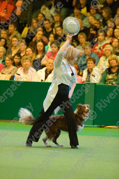 IMG 7562 
 Keywords: 2008, Arena, Display, NEC, birmingham, canine freestyle, crufts, dancing, dogs, heelwork to music, htm, march, performance