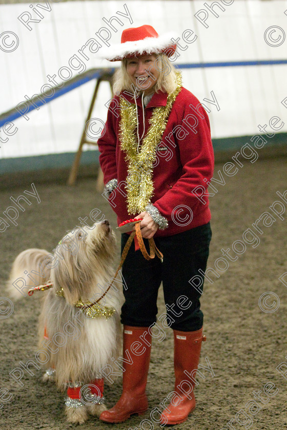 AWC 8131 
 Keywords: 2009, Fancy Dress, Xmas Party, december, dogs, wellow agility club