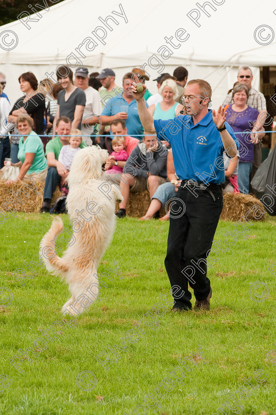 AWC 1385 
 Wanborough Country Show, August 2009, Richard Curtis' K9freestyle Dancing Dog Arena Display 
 Keywords: 2009, arena demonstration, arena display, august, canine freestyle, dog dancing, dog display, England, heelwork to music, k9freestyle, Lynch Field, Lynch Field, Wanborough, Wiltshire, England, UK, richard curtis, UK, wanborough country show, Wanborough, Wiltshire