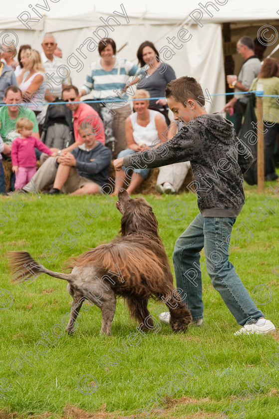 AWC 1430 
 Wanborough Country Show, August 2009, Richard Curtis' K9freestyle Dancing Dog Arena Display 
 Keywords: 2009, arena demonstration, arena display, august, canine freestyle, dog dancing, dog display, England, heelwork to music, k9freestyle, Lynch Field, Lynch Field, Wanborough, Wiltshire, England, UK, richard curtis, UK, wanborough country show, Wanborough, Wiltshire