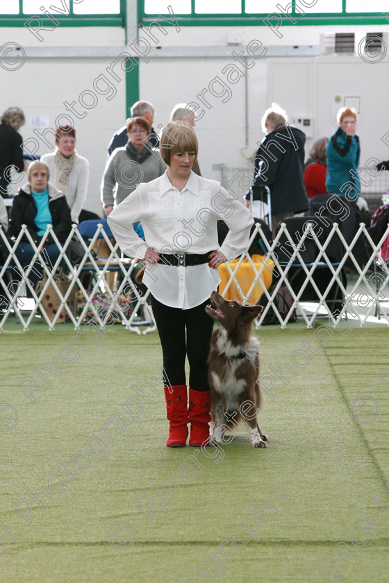 AWC 0756 
 Keywords: heelwork to music competition, rugby dog club