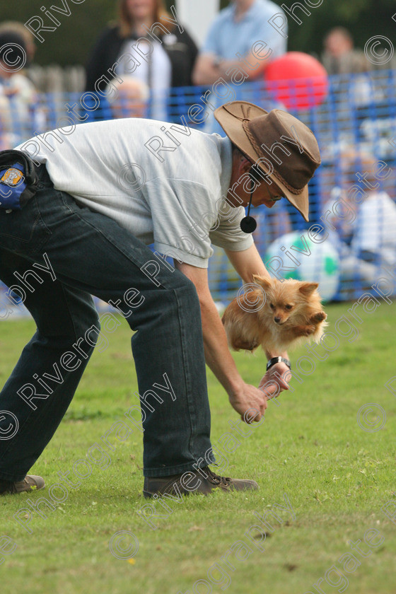 AWC 7144 
 Keywords: 2010, Chobham, Millbrook Animal Centre, RSPCA, Richard Curtis, arena demonstration, september